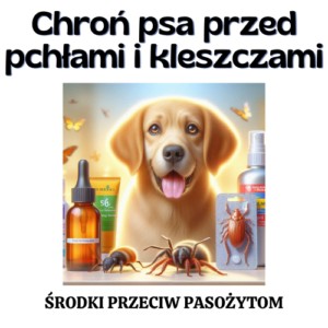 Chroń psa przed pchłami i kleszczami- OTOZ Animals Łódź