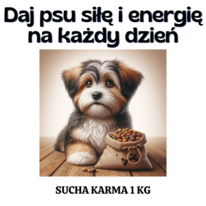 Daj psu siłę i energię na każdy dzień- OTOZ Animals Łódź