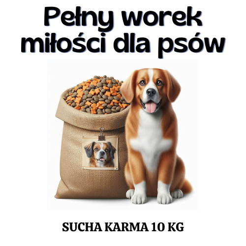 Pełny worek miłości dla psów - OTOZ Animals Łódź