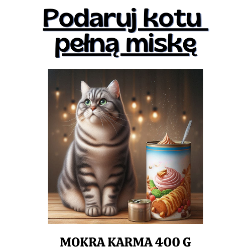 Podaruj kotu pełną miskę - OTOZ Animals Łódź
