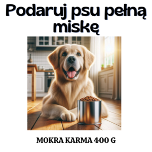 Podaruj psu pełną miskę- OTOZ Animals Łódź