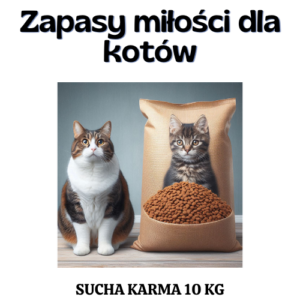 Zapasy miłości dla kotów - OTOZ Animals Łódź