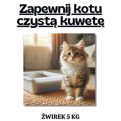 Zapewnij kotu czystą kuwetę - OTOZ Animals Łódź