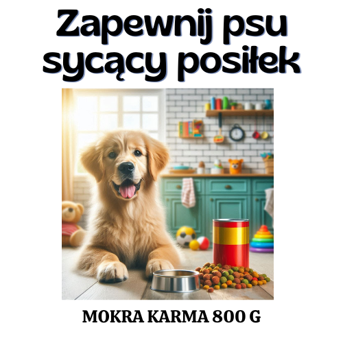 Zapewnij psu sycący posiłek- OTOZ Animals Łódź