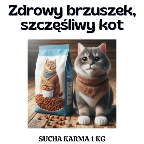 Zdrowy brzuszek, szczęśliwy kot - OTOZ Animals Łódź