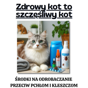 Zdrowy kot to szczęśliwy kot - OTOZ Animals Łódź